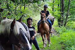 Ausritt im Wald beim Urlaub im Bayerischer Wald